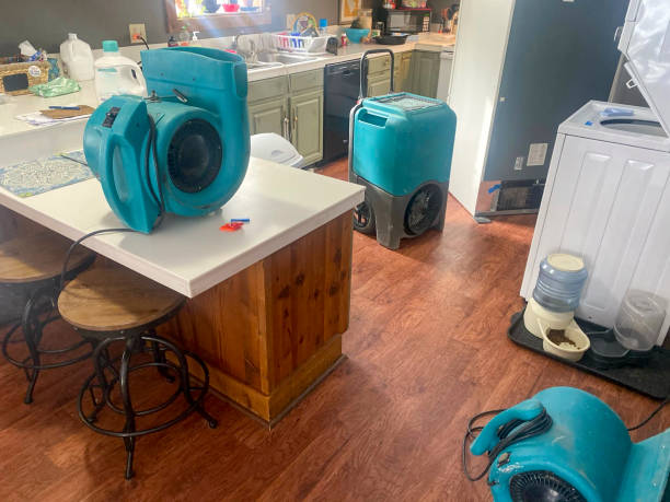 Trusted Trafford, PA Water damage restoration Experts